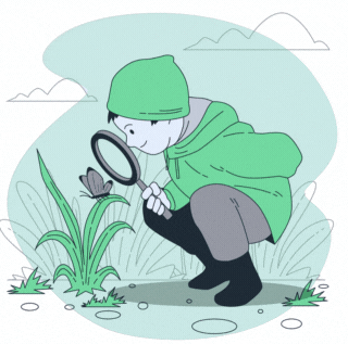 No search result found!